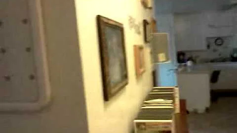 Lesa Fox video of sound