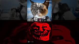 Grumpy Cat #shorts #grumpycat #floppaOrigins