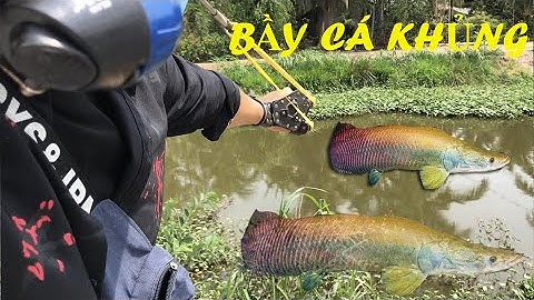Ná Cao Su Bắn Cá. Cao Thủ Bắn Ná Miền Tây Gặp Bầy Cá Khủng | Slingshot