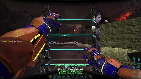 Ark Official Informational Gift: The Ladder Trick