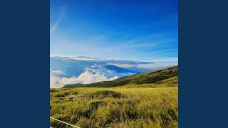 Download Lagu Separuh jiwaku MP3