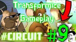 Transformice Gameplay Circuit #9
