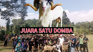 "Meriah! Hadiah Kambing untuk Juara Turnamen Sepak Bola Kampung 🎉🐐⚽"