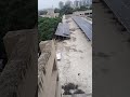 Solar Panel vs Tree 🌳⚡ | Reality of Rooftop Solar | Viral Shorts #shortsfeed #solarrepair #solar