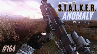 S.T.A.L.K.E.R. Anomaly Part 164: Pseudo-giant attack during a Psy-storm