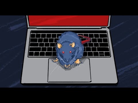 Python обзор и разбор на вирус RAT