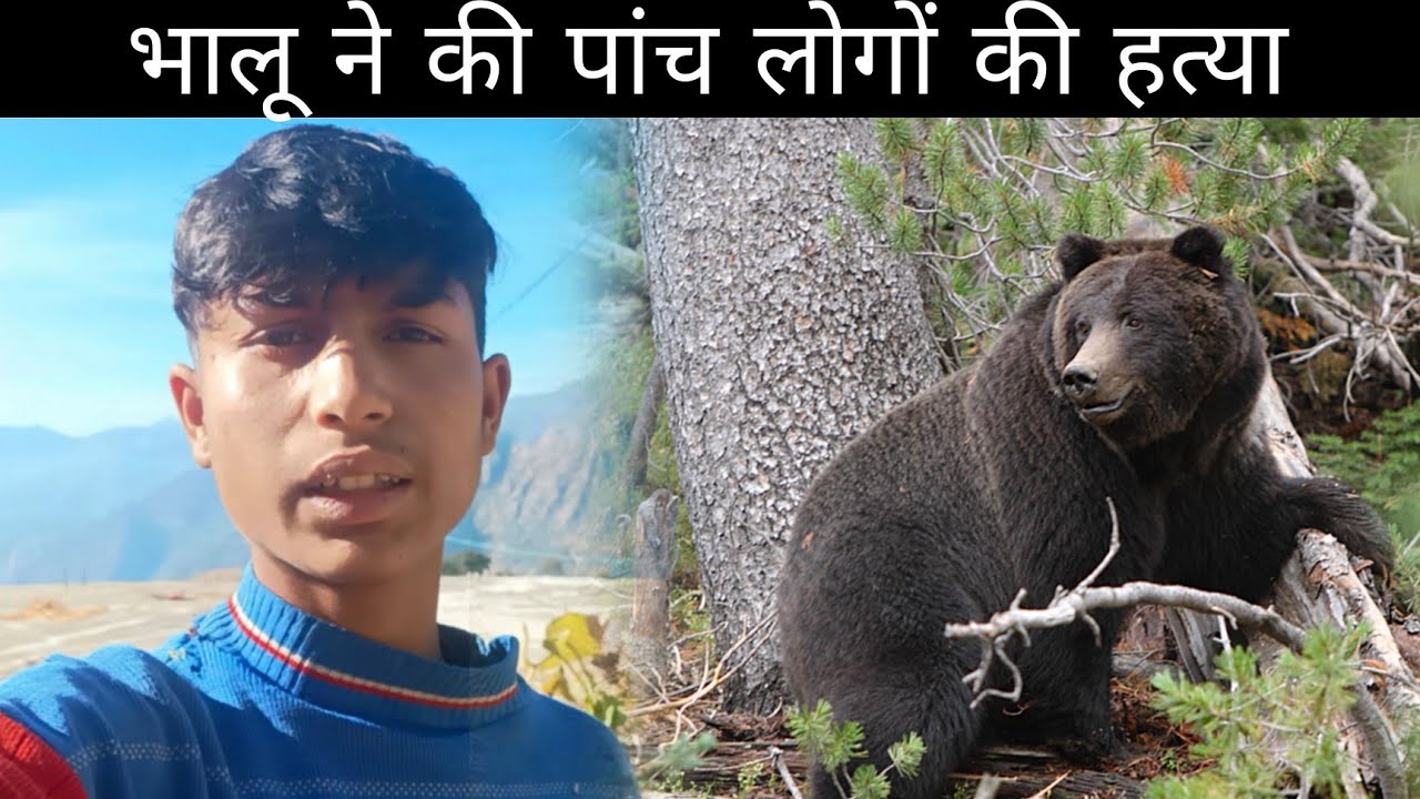  Uttarakhand Wildlife Alert: Bear Encounters Up 😡