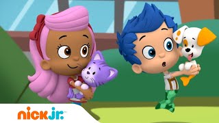 Bubble Guppies Aiuta I Bubble Guppies A Salvare Cucciolino Da Una Strega Nick Jr.