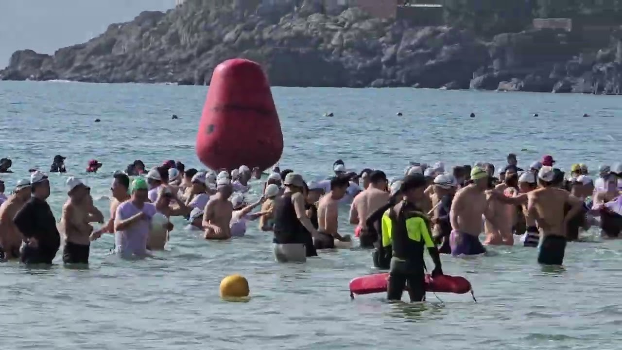 2026 해운대해수욕장 북극곰 축제 
