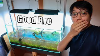 Taking Down My FAVORITE AQUARIUM @Ryowatanabee
