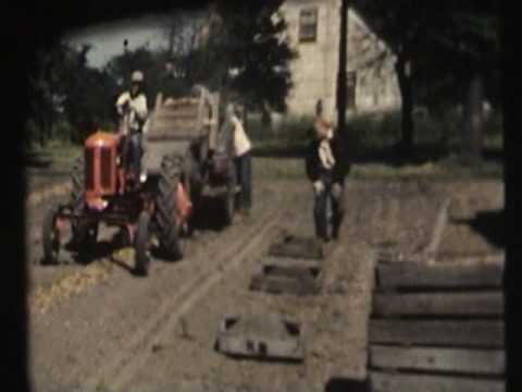 1950's Harvey IL Halloween & Onion Farming