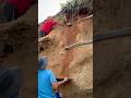 The process of finding gold | finding gold in bedrock fragments | worth $250 May 2026