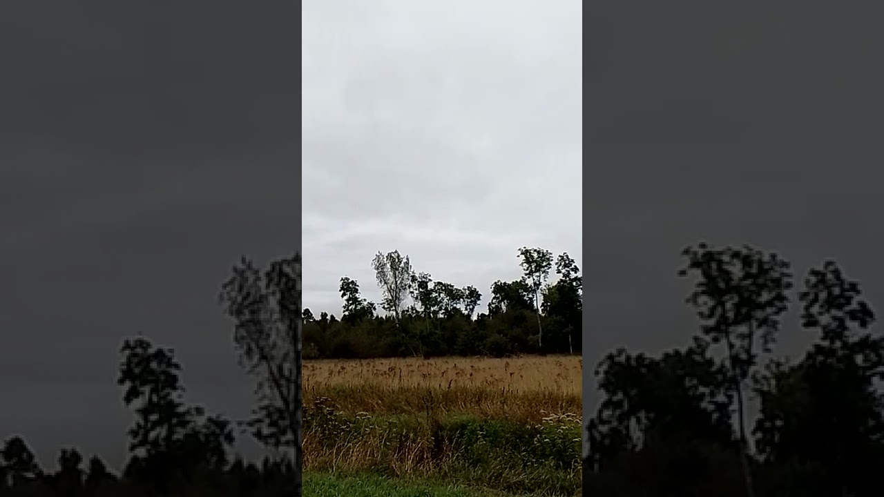 Sommargylling Vombs vattenverk 29 aug 2022