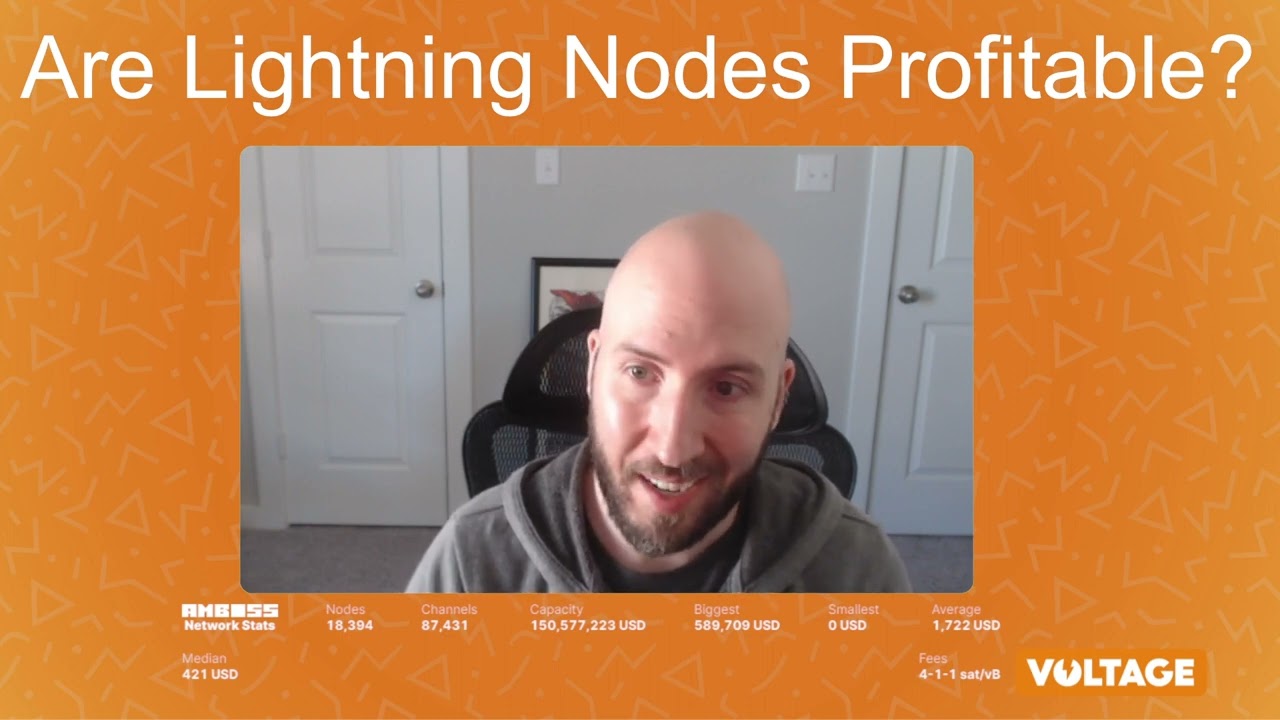 Are Lightning Nodes Profitable? - How to Profit Running a Node!