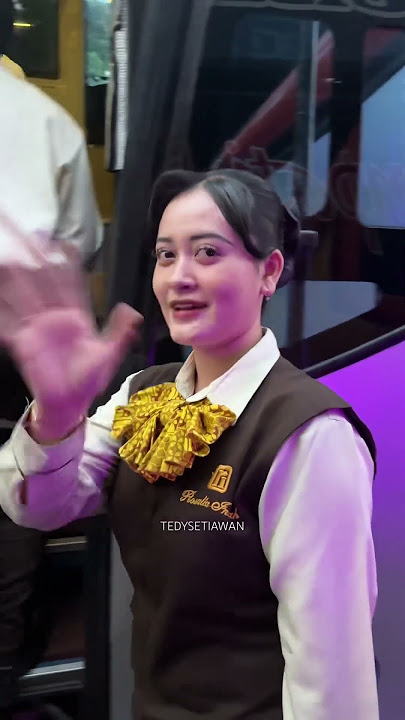 Mbak nya cantik banget pramugari bus Rosalia Indah