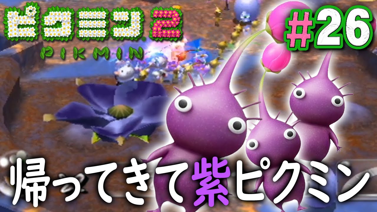 居なくなった紫ピクミンを増やしに行こう ピクミン2 を実況プレイpart26 Youtube
