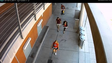 Walkway - refined by color (RED) - BriefCam Syndex