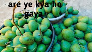 Are ye kya ho gaya family vlogs