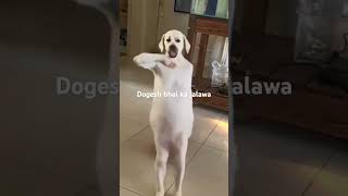 #shortvideos