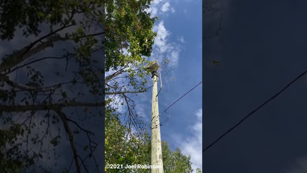 Federal Signal 508 Manual Test (Video 1)