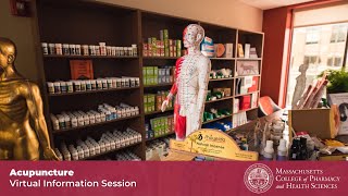 Virtual Information Session - Acupuncture