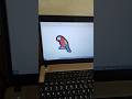 🦜🦜parrot shortcut key #omtek #shortvideo #viralvideo #msword #computer