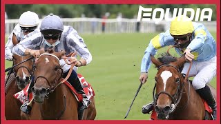 Vidéo de la course PMU PRIX CORRIDA