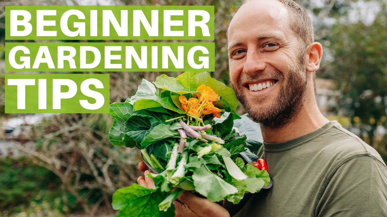 Beginner Gardening Tips For A Successful Garden Grow Your Own Food Youtube