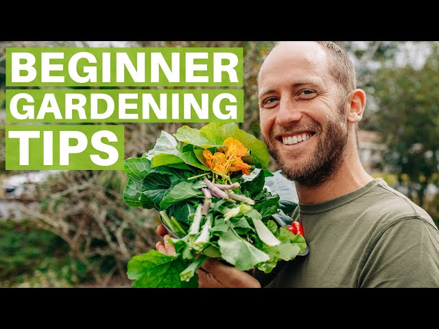 Best Home Gardening Tips for Beginners in India! - The Packers Movers -  Official Blog