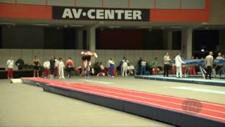 Froeberg Didrik Swe - 2015 Trampoline Worlds - Qualification Tu Routine 2