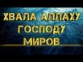 ХВАЛА АЛЛАХУ ГОСПОДУ МИРОВ☝☝☝