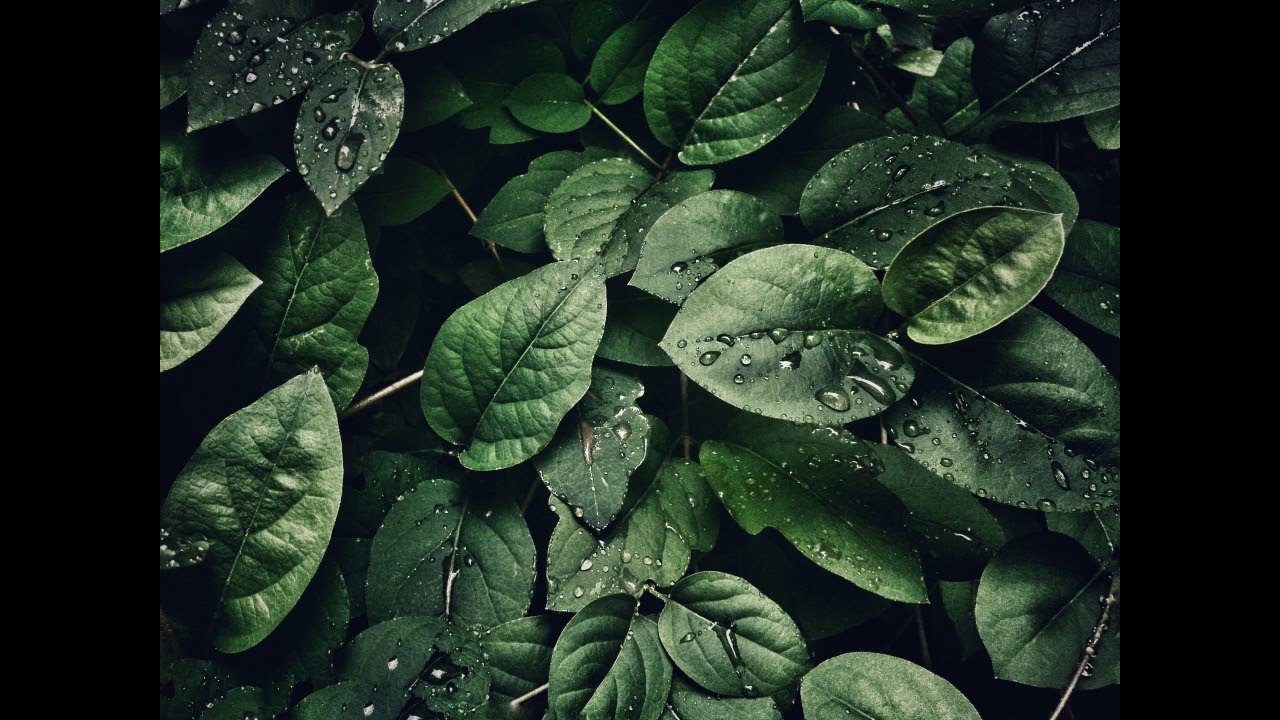 soft soothing sleep music soft soothing sleep music