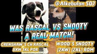 WAS RASCAL VS SNOOTY A REAL MATCH!