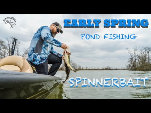 Early Spring Pond Fishing with Justin Martin // Spinnerbait Beatdown // Timber Rattler