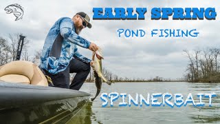 Early Spring Pond Fishing with Justin Martin // Spinnerbait Beatdown // Timber Rattler