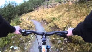 16/02/2014, Ballinastoe Mountain Bike Trail, Co  Wicklow,