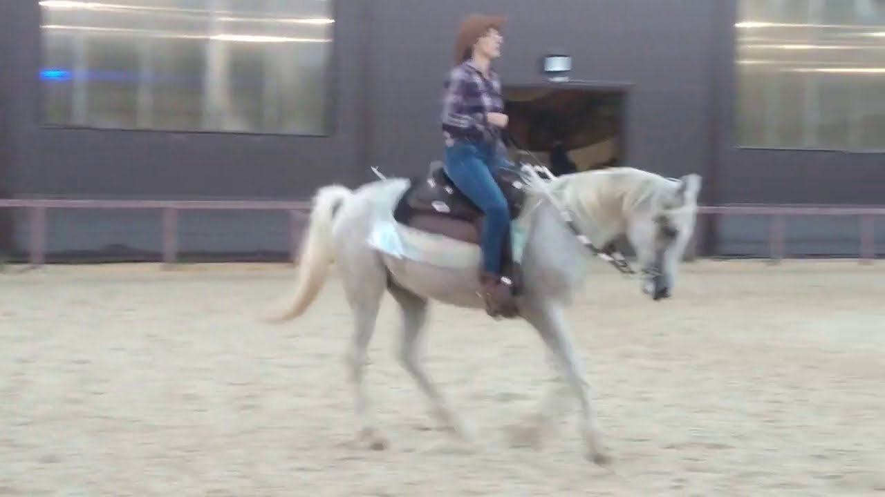 302 Алексанова Мария / Пламенная / CRRN Green Ranch Riding