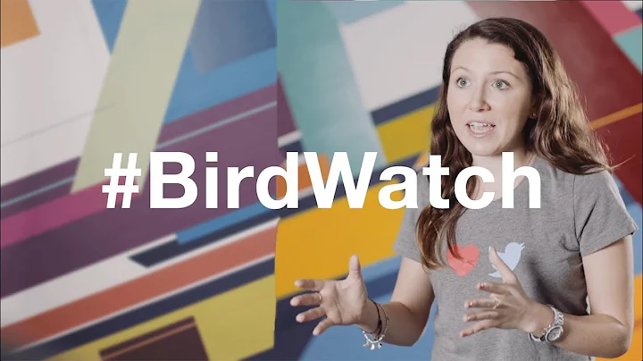 #Birdwatch: Aliza Rosen