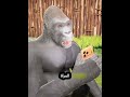غوريلا ذكية تعيد الهاتف مقابل موزة مفاجأة لا ت صدق Shorts