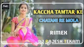 कच्चा टमाटर की चटनी KACCHA TAMTAR KE CHATANI RE MOLA JADAI SUHAYA #dj_rajesh_tekam#djkhemubalaghat
