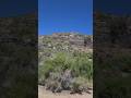 Ghost Town (Palmetto, NV) #history #historical #foundation #mining #nevada #ghosttown #old