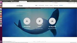 gRPC Wireshark dissector  - Part 1