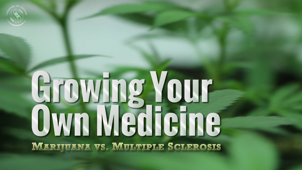 Growing Your Own Medicine: Marijuana vs. Multiple Sclerosis