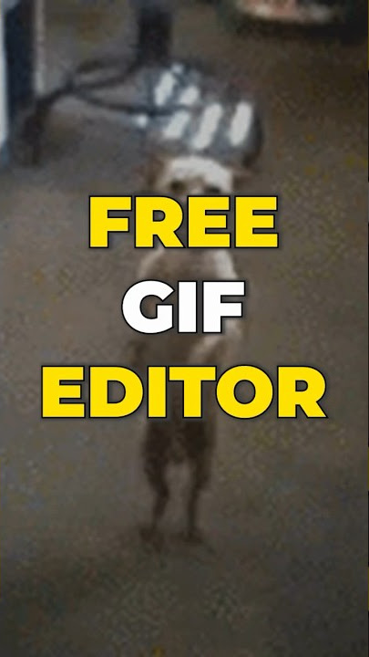 Editor de GIF - Animador de GIF online fácil e gratuito – Flixier