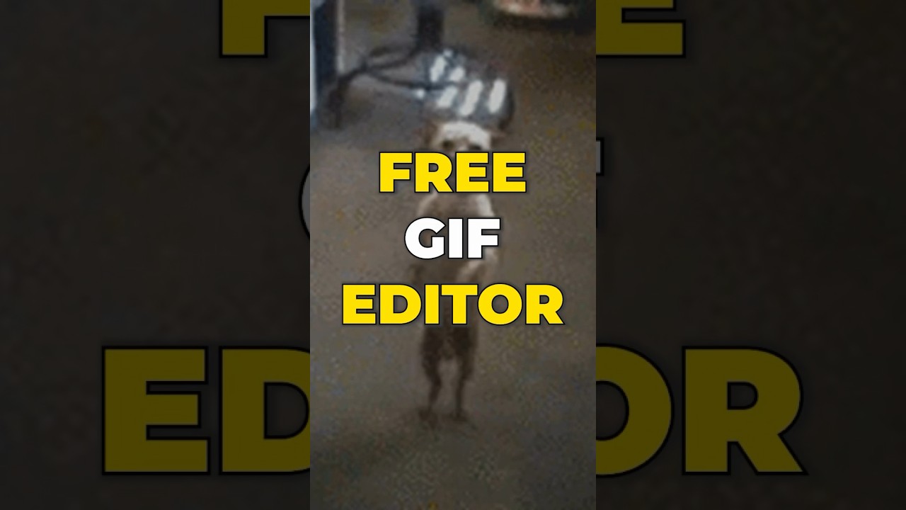GIF Editor - Easy & Free Online GIF Animator - Flixier