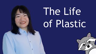 Famous The Life of Plastic Wealth