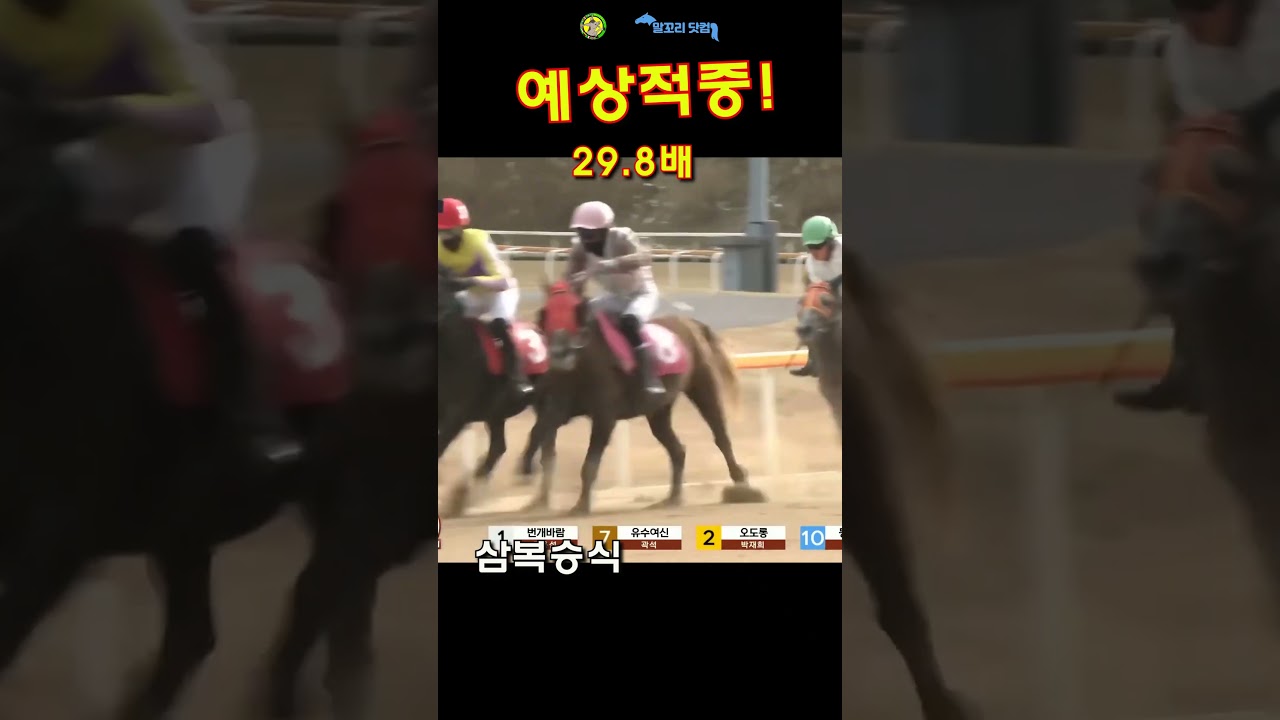 말꼬리 AI경마 예상적중! 29.8배 1월30일 제주1경주 삼복승식 #ai경마 #경마 #경마예상 #horse