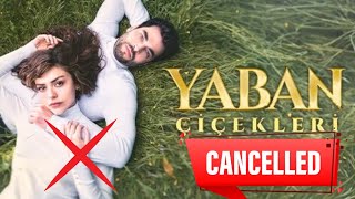 Yaban Ciceklari starring Akın Akınözü and Aslıhan Malbora got cancelled!