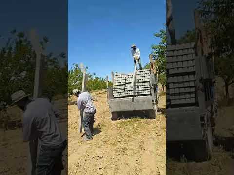 Video kapak