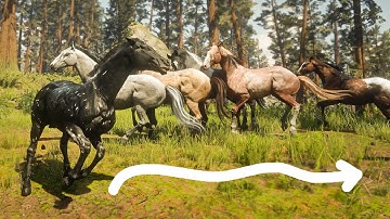 A HERD of horses runs AROUND the map in Red Dead Redemption 2